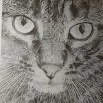 Kerri Griggs - @dkattgallery - Instagram