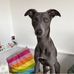 Kerrie Hardman - Facebook