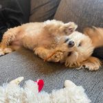 Kerry Hebert - @kerry.hebert.56 - Instagram