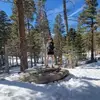 Kerry Hecht - @kerryhecht - TikTok