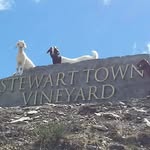 Kerry Stainton-Herbert - @staintonherbert - Instagram