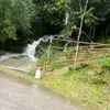 KerryHerbert - @kandeyrsiwu - TikTok