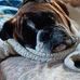 Kerry Hobson - Facebook
