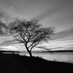 Kerry Hood - @kmh578konk - Instagram