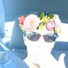kerryhostetler68 - @kerryhostetler68 - TikTok