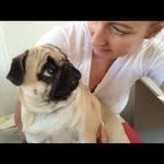 Kerry House - @kerryh6 - Instagram