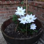 Kerry House - @kerryhouse24 - Instagram