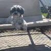 kerrymeadowsirons - @kerrymeadowsirons - TikTok
