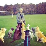 Kerry Jenkins - @kingstondogcare - Instagram