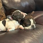 Kerry Keene - @kkeene2055 - Instagram
