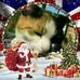 Kerry Key - Facebook