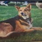 Kerry Kirk-Keebler - @kerrykirkkeebler - Instagram