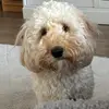 Kerrykoch1 - @kerrykoch1 - TikTok