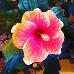 Kerry Kruger - Facebook