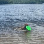 Kerry Ann Larabee - @kerrylarabee2 - Instagram