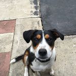 Kerry Laraba - @kerrylaraba - Instagram