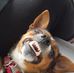 Kerry Loftus - Facebook