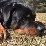 Kerry Lowery Richards - @mumzyof33 - Instagram