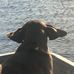 Kerry Maddox - Facebook