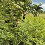 kerry manning - @kerrymanning1979 - Instagram