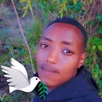 Timoo Mark's Kerry - Facebook