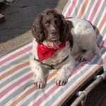 Kerry_mason - @kerry_mason3 - Instagram