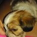 Kerry Mattern - Facebook