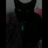 Kerry Maxwell - @ariacat14 - TikTok