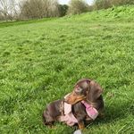 Kerry Maynard - @kerrymaynard_ - Instagram