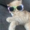 user1104358246741 - @kerrymaynard6 - TikTok