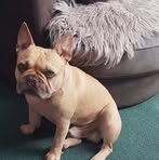 Kerry McCann - Facebook