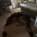 Kerry Mccarty - Facebook