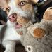 Kerry McCarty - Facebook