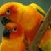 Kerry McCarty - Facebook