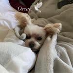 Kerry McDougall - @mcdougall_kerry - Instagram