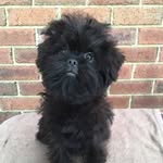 Kerry McKinnon - @swayd_adventures - Instagram