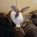 Kerrie Mcglone - Facebook
