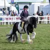 Kerry Mclean - @kerrymcleann_ - TikTok