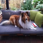 Kerry Mcshane - @kerry.mcshane2 - Instagram