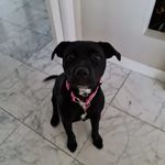 Kerry Mohan - @kezzamm13 - Instagram