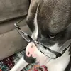 Kerry Morrissey - @kerry.morrissey - TikTok