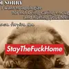 kerrymorrow590 - @kerrymorrow590 - TikTok