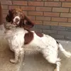 kerrymorrow938 - @kerrymorrow938 - TikTok
