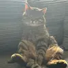 Kez_85❤️ - @kerrymotty - TikTok