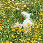Kerry Norman - @kerry.norman.796 - Instagram