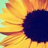 Kerri Best-Ogden - @kerri.bestogden - TikTok