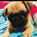 KERRY OLSEN - @kerry_9184 - Instagram