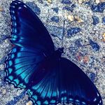 Kerry Padgett - @kerry.padgett.921 - Instagram