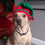 John Kerry - @john_kerry_painter_decorator - Instagram