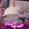 Kerry Patrick - @kerrypatrick1 - TikTok